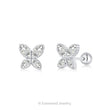 Lipa Butterflies - Earrings